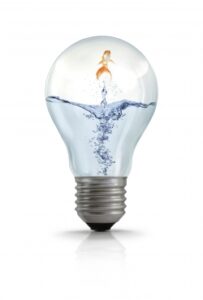 פרחים למאכל: הפטנט מקדם את שיטת הייצור של דברי מזון לא מתכלים שמקורם בפרחים