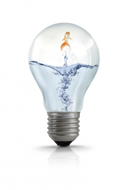 בדיקת המלריה החדשה illumigene® Malaria קובעת תקן זהב חדש באבחון