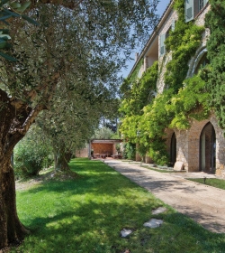 האחוזה של פיקאסו נמכרה ליו"ר ספטר ראיו וויתאנייג'