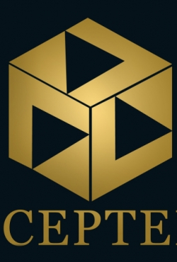 חברת ההשקעות של מונקו הוקמה כדי לנהל תוכנית של השקעות ישירות ממשלתיות גלובליות