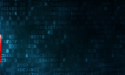 Rimini Street הכריזה על השקת אבטחת בסיס נתונים מתקדמת - המופעלת באמצעות McAfee