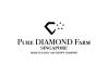 טכנולוגיית בלוקצ'יין של Pure Diamond - החידוש פורץ הדרך החדש של ענף היהלומים