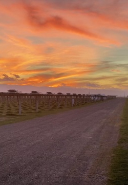 אקופיה מחזקת את הנוכחות במזרח התיכון עם פרויקט ראשון במצרים