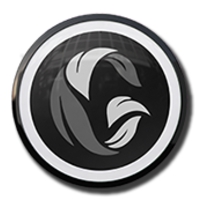 Green Hygienics Holdings Inc. מודיעה על מכתב כוונות לרכישה של .Bohemian Beverage Co