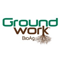 GROUNDWORK BIOAG גייסה 11 מיליון דולר במטרה לשפר רכיבים ביולוגים בחקלאות