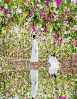 teamLab Planets בטוקיו תחשוף ב-2 ביולי שתי יצירות אמנות חדשות ואימרסיביות בגן החי