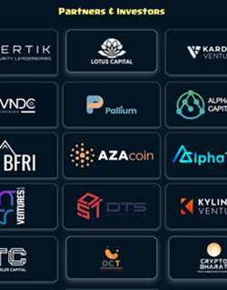 שיתופי פעולה ב-Real Realm לחוויית המשחק הטובה ביותר