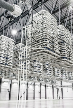 היטאצ'י אנרג'י זוכה בחוזה גדול עבור רשת הולכת כוח תת-ימית הראשונה מסוגה באזור המזרח התיכון וצפון אפריקה לקידום אנרגיה עתידית בת קיימא עבור אבו דאבי