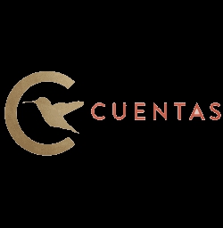 עדכון בעלי מניות Cuentas 2022