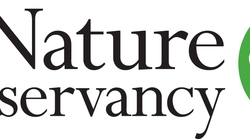 מומחים ואנשי מקצוע גלובליים מתאחדים כדי לשפר את בריאות האוקיינוס על ידי התמודדות עם אתגרים מערכתיים בניהול ימי