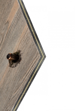 Surforma השיקה לוח בליסטי באופן גלובלי