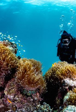 מדענים מובילים בינלאומיים מפרסמים מדריך קריטי לשימוש במיקרוביום כדי להילחם בסוגיה העולמית של אובדן המגוון הביולוגי