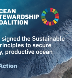 מרי קיי מקדמת את המחויבות לשימור