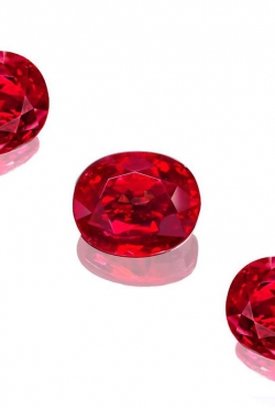 Faidee גאה להכריז על כיתת אמן לאבני אודם הראשונה בעולם שתערך בדובאי מה-27 באפריל עד ה-4 במאי