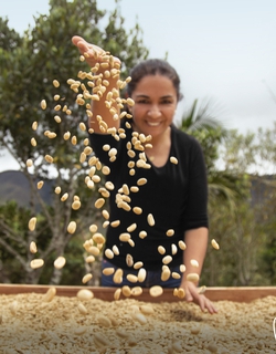 פרו מיישמת אסטרטגיית תרבות בת קיימא במגזר הייצוא