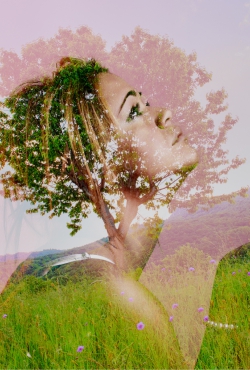 פריצת דרך בחדשנות מלאת ניחוח:Sensegen והמובילה הגלובלית חושפים שיתוף פעולה דינמי