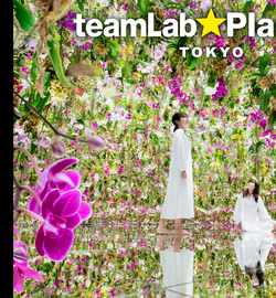 מוזיאון teamLab Planets TOKYO הוכר על ידי ספר השיאים של גינס כמוזיאון הכי מבוקר בעולם (בקטגוריית המוזיאונים המוקדשים לאומן יחיד).