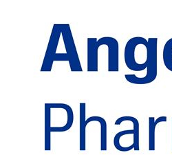 Angelini Pharma מתקשרת בהסכם אופציה בלעדי עם Cureverse לרישיון זכויות פיתוח ומסחור גלובליות עבור מוצר חדשני לבריאות המוח בשלב הקליני