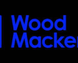 נדרשת פעולה החלטית כדי להגיע לנטו אפס עד 2050