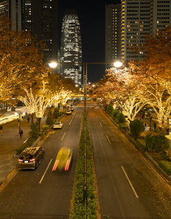 טקס הארת "שוק האורות של נישי-שינג'וקו"