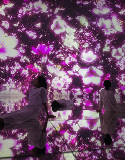 teamLab Planets (טוקיו