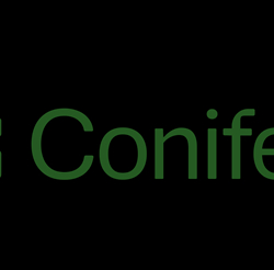 Conifers.ai הוסיפה מנהלים לשעבר מ-RSA