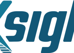 Xsight Labs E1 מבצעת השלמה ראשונה בענף של אימות SONiC-DASH Hero 800G