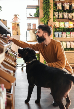 מהפכת המזון לחיות מחמד: שני סקרים גלובליים חדשים חושפים פתיחות גוברת של מגדלים לתזונה בת קיימא לכלבים וחתולים